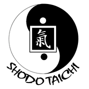Shodo Taichi